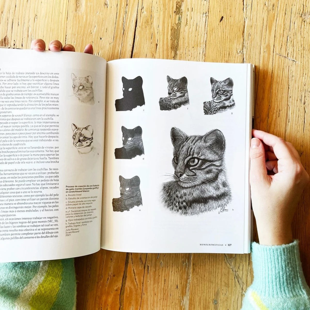 Manual de Ilustración científica