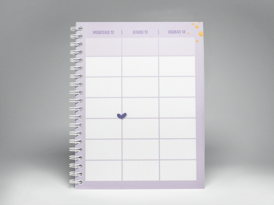 Agenda-Planner 25-26 para maestras de Educación Especial. "Mi universo docente"